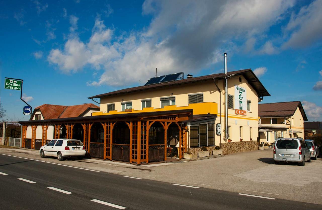 Guest House Celan Spodnja Hajdina Exterior foto